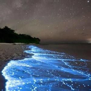 Meet your Posher, Tim